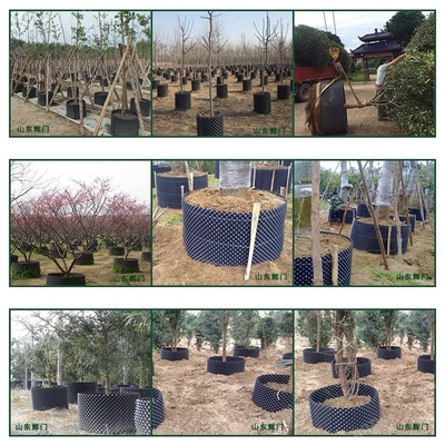 江西大型農(nóng)場栽花種植控根器與樹木控根容器的應(yīng)用